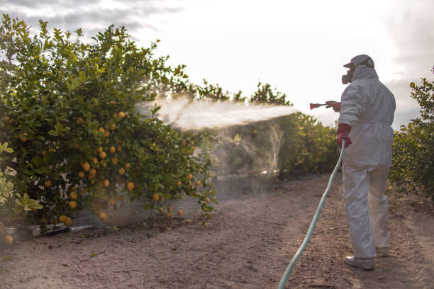 Best Ant Control Services  in Moody Af, GA